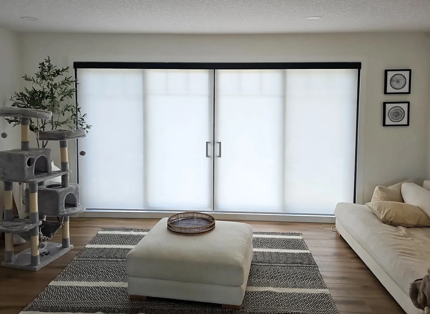 Smart Blinds
