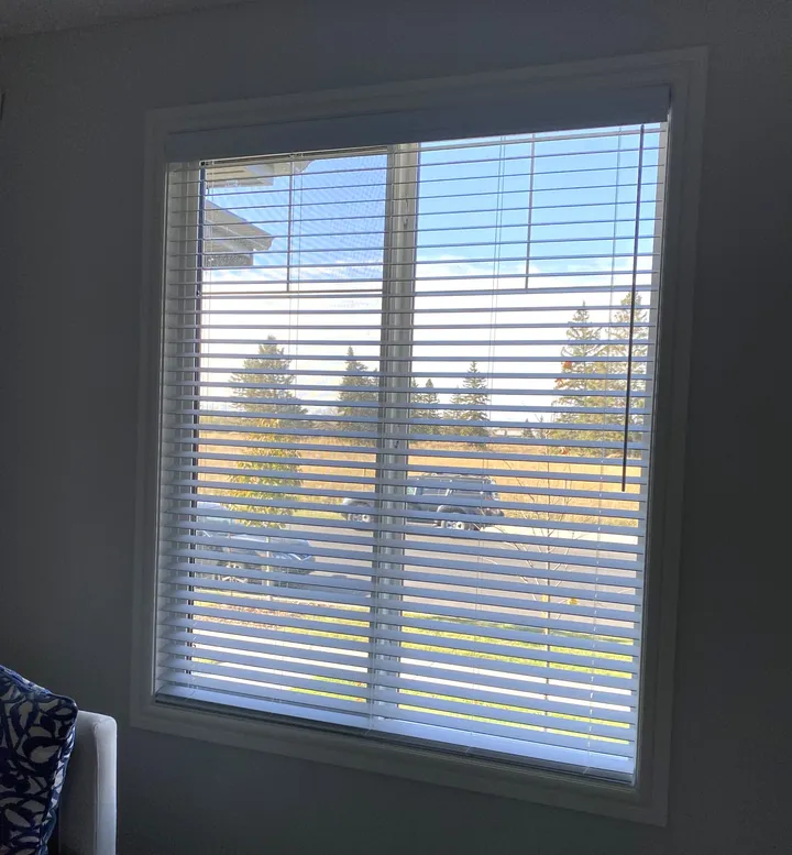 Why Choose Faux Wood Blinds?