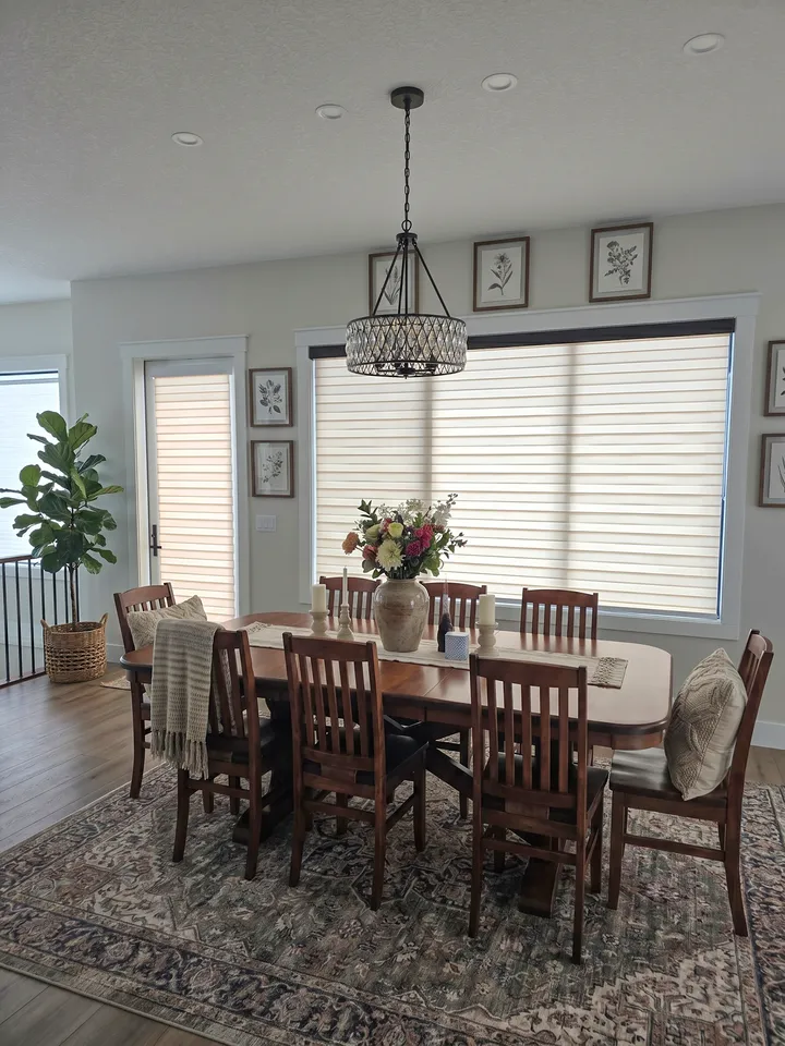 Why Choose Zebra Shades?