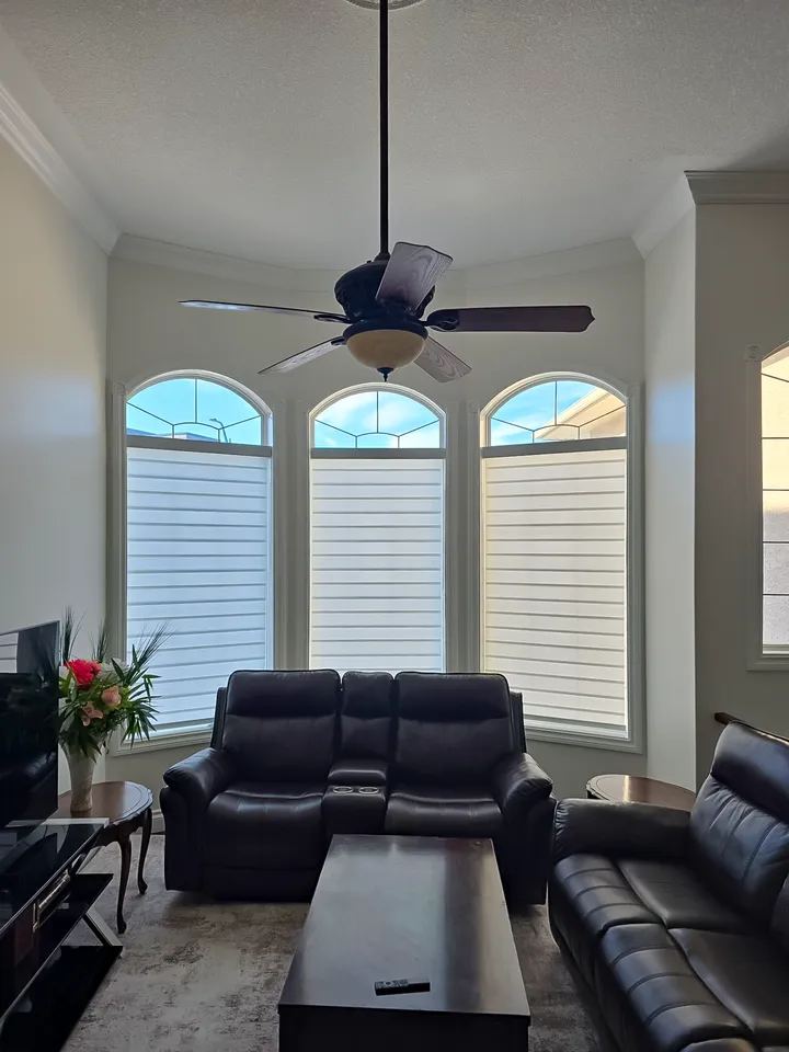 Why Choose Zebra Shades?