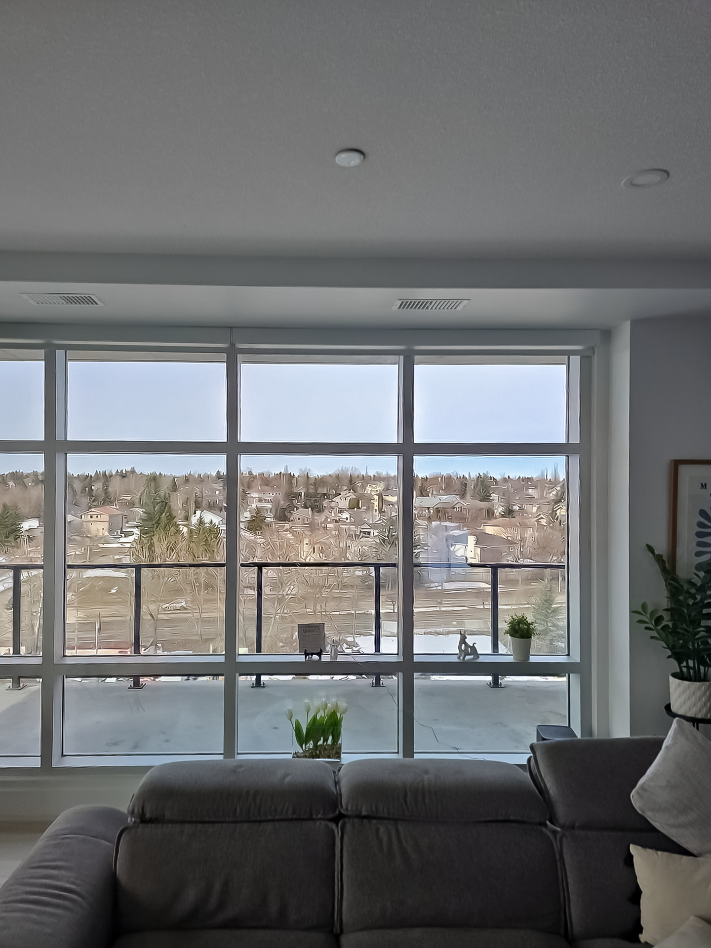 Move-In Ready Timelines
