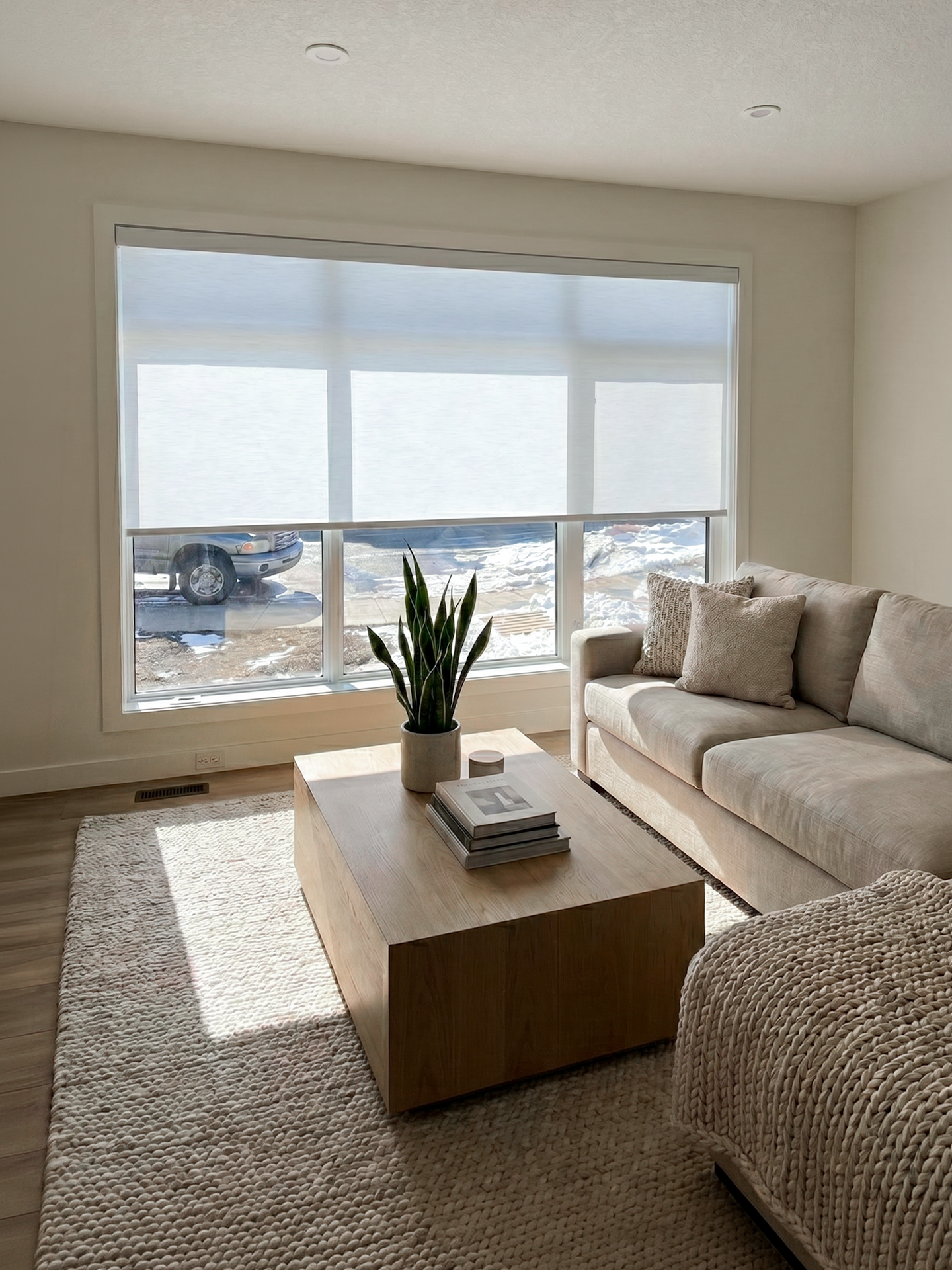 Roller Shades