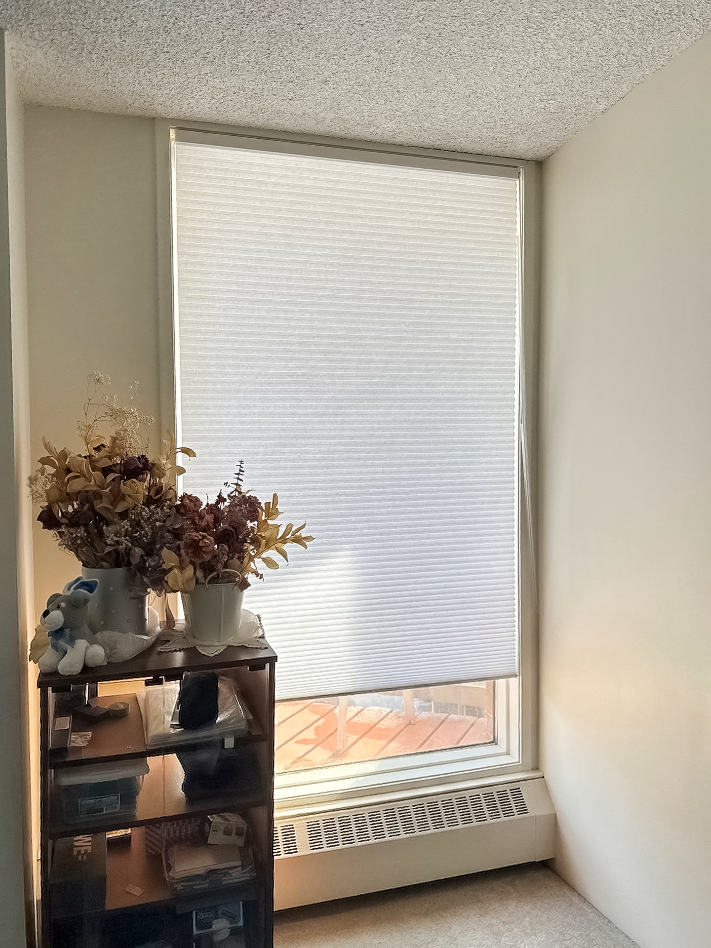 Honeycomb Shades