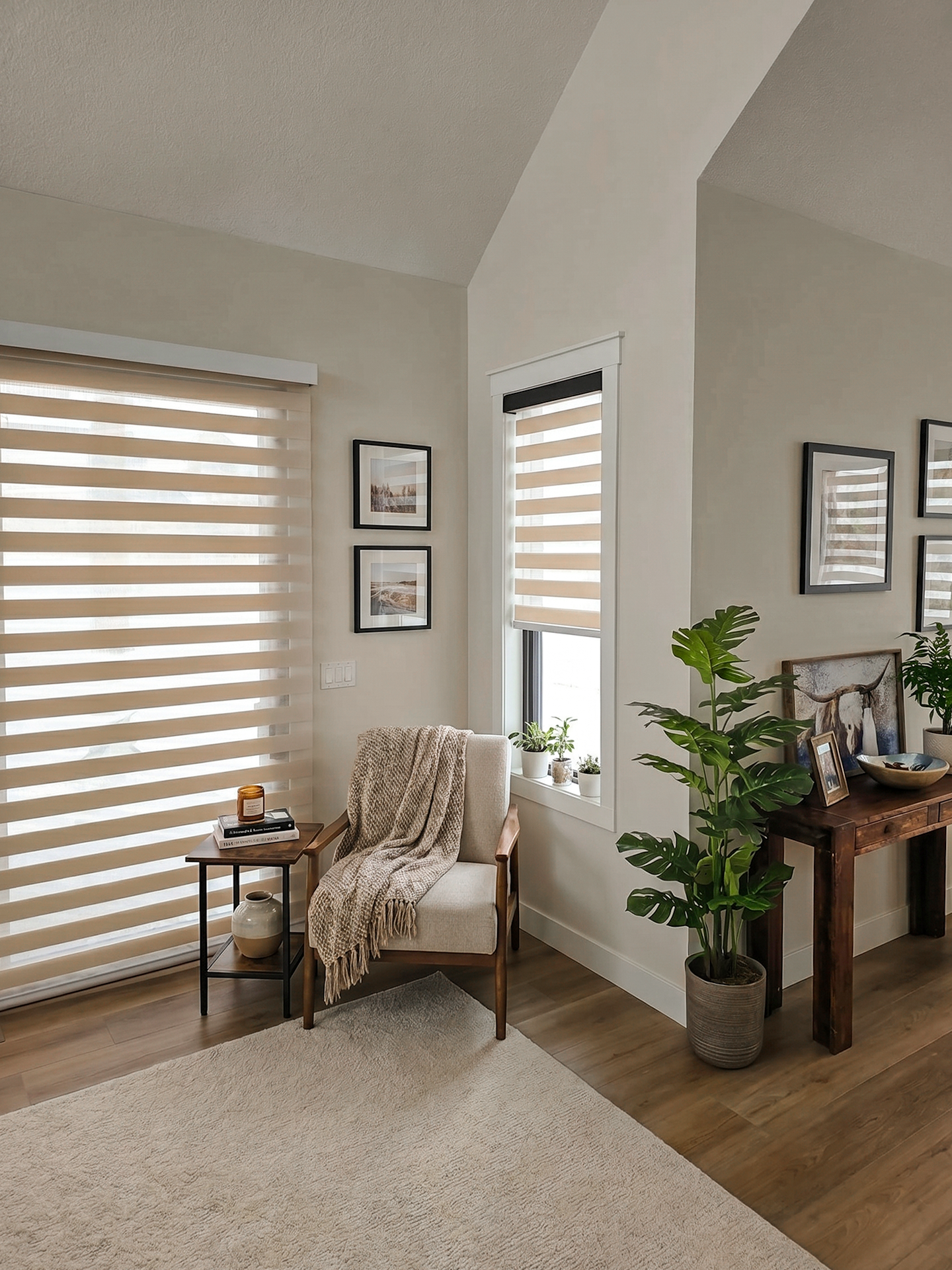 Zebra Blinds